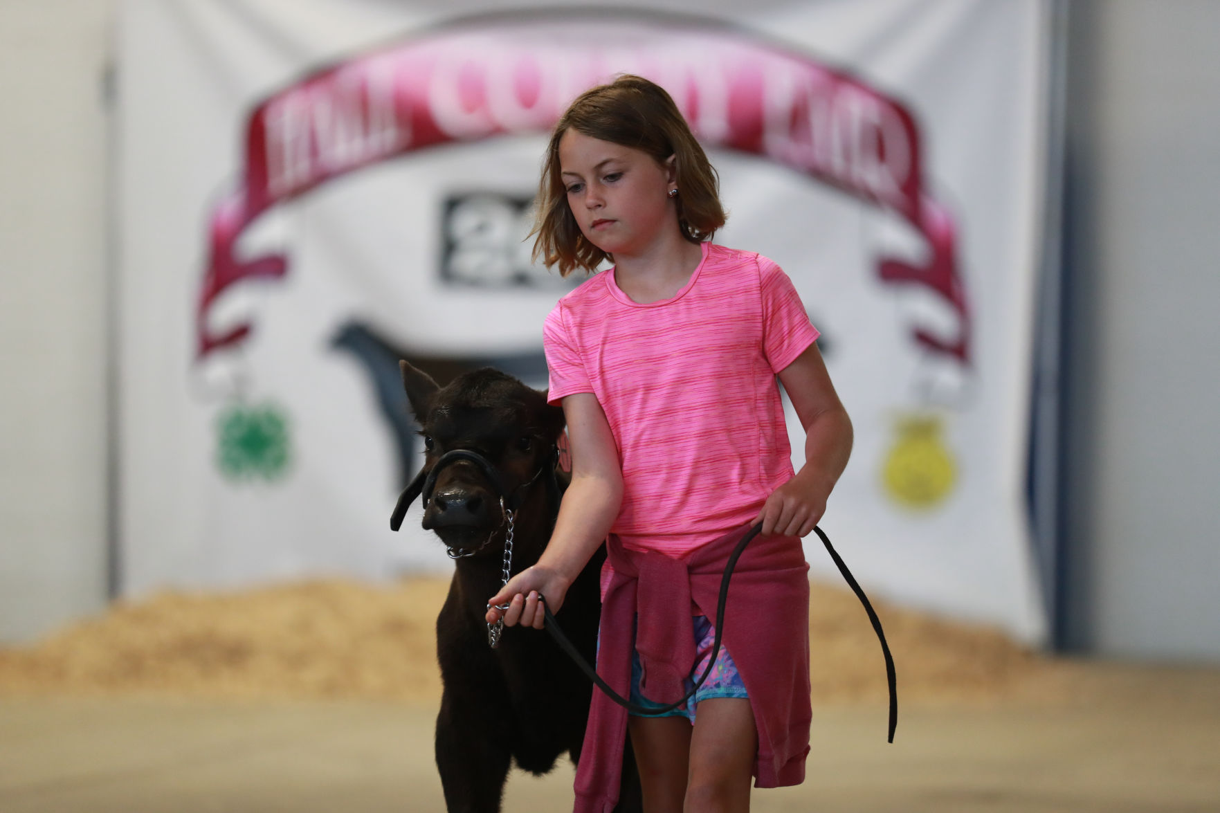 071119_HallCoFair01_bjs.JPG